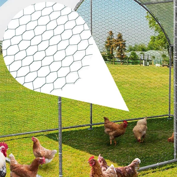 Amucolo 157 ft. Galvanized Hexagonal Outdoor Anti-Rust Green Chicken Wire, Poultry Netting for Garden, Chicken Coop Wire Fencing