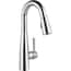 Delta Essa Single-Handle Pull-Down Sprayer Kitchen Faucet with ...