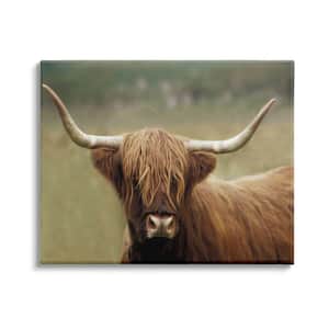 Cattle Shaggy Country Animal Portrait Photography by Danita Delimont Unframed Print Animal Wall Art 24 in. x 30 in.