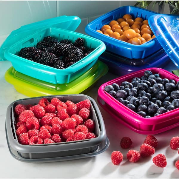 Berry Keeper Box for Fridge, Keep Berry Fresh for 20 Days, Refrigerator  Produce Saver Food Storage Containers, Blue, Large 