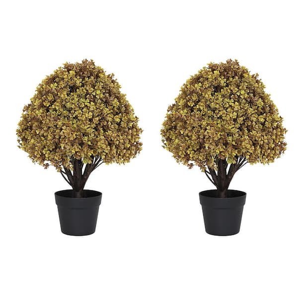poetree 2 ft. Artificial Fall Boxwood Topiary Ball Trees in Pots (2-Pack)
