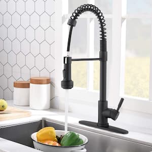 Karwors Single Handle Sprayer Kitchen Faucet with Dual Function Sprayhead in Matte Black