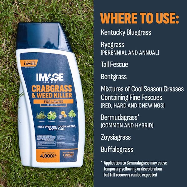 32 oz. 4,000 sq. ft. Lawn Weed and Crabgrass Killer Concentrate for 200-Plus Weed Types