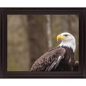 "Majestic Eagle" By Garytog Double Matted Framed Print Animal Wall Art 28 in. x 34 in.