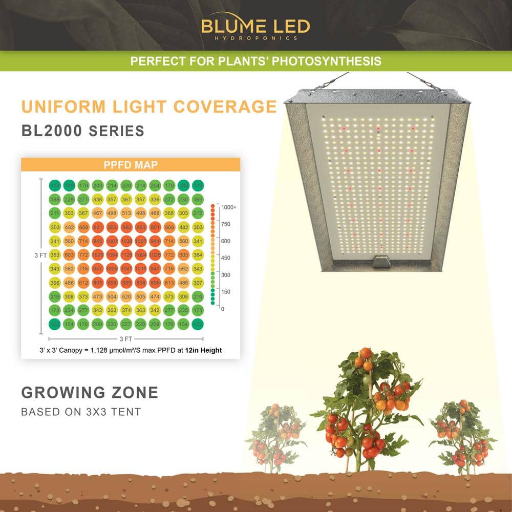 Blume 200-Watt Full Spectrum LED Grow Light Set for Indoor Plants