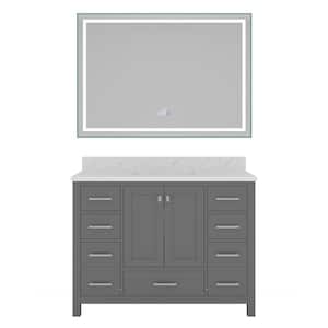 48 in. W x 22 in. D x 35.4 in. H Single Sink Bath Vanity in Gray with Top and Mirror