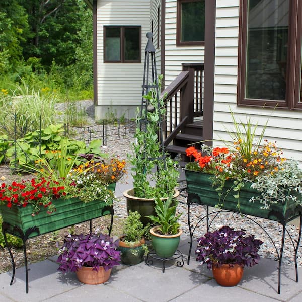 lavender plants at walmart Back to the Roots - Organic Lavender Windowsill Planter Growing Kit - Everything Included - Grow In-Home Year Round main image 1