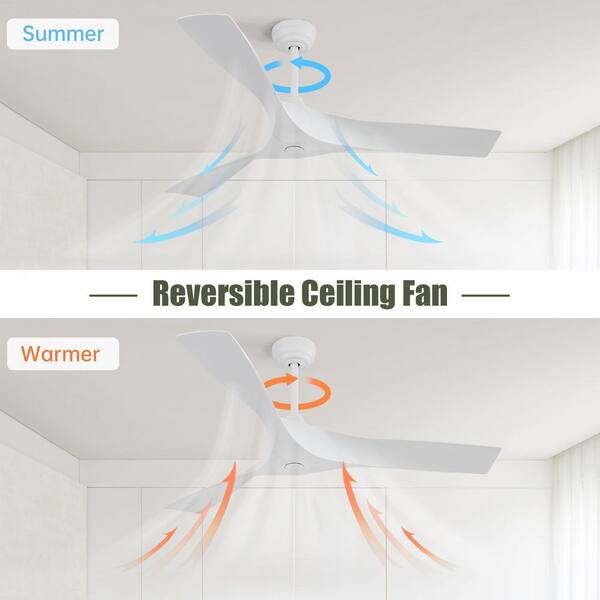 Staykiwi 52 in. Indoor Modern White Ceiling Fan with 3-White ABS