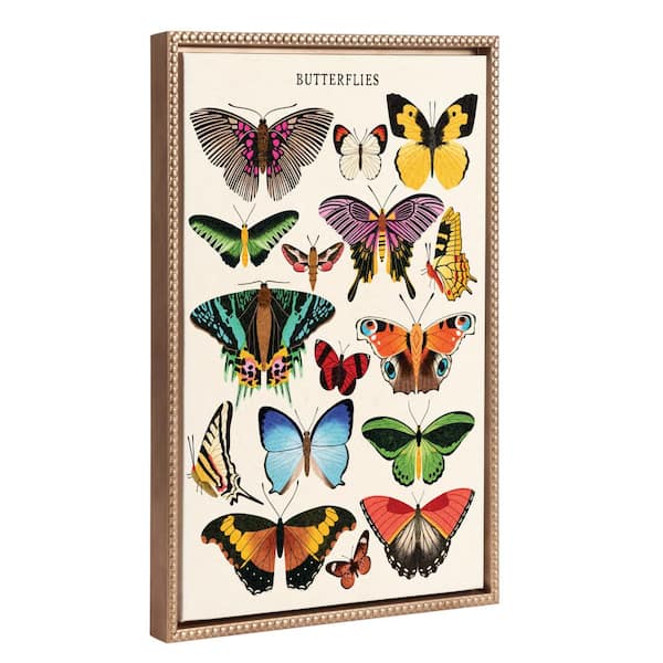 Kate and Laurel Modern Colorful Butterfly Poster Framed Canvas Wall Art 1-Piece Gold Framed Canvas Art Print, 18 in. x 24 in.
