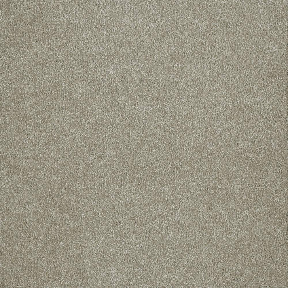 Home Decorators Collection Chastain I - Sharondale - Beige 40 oz. SD ...