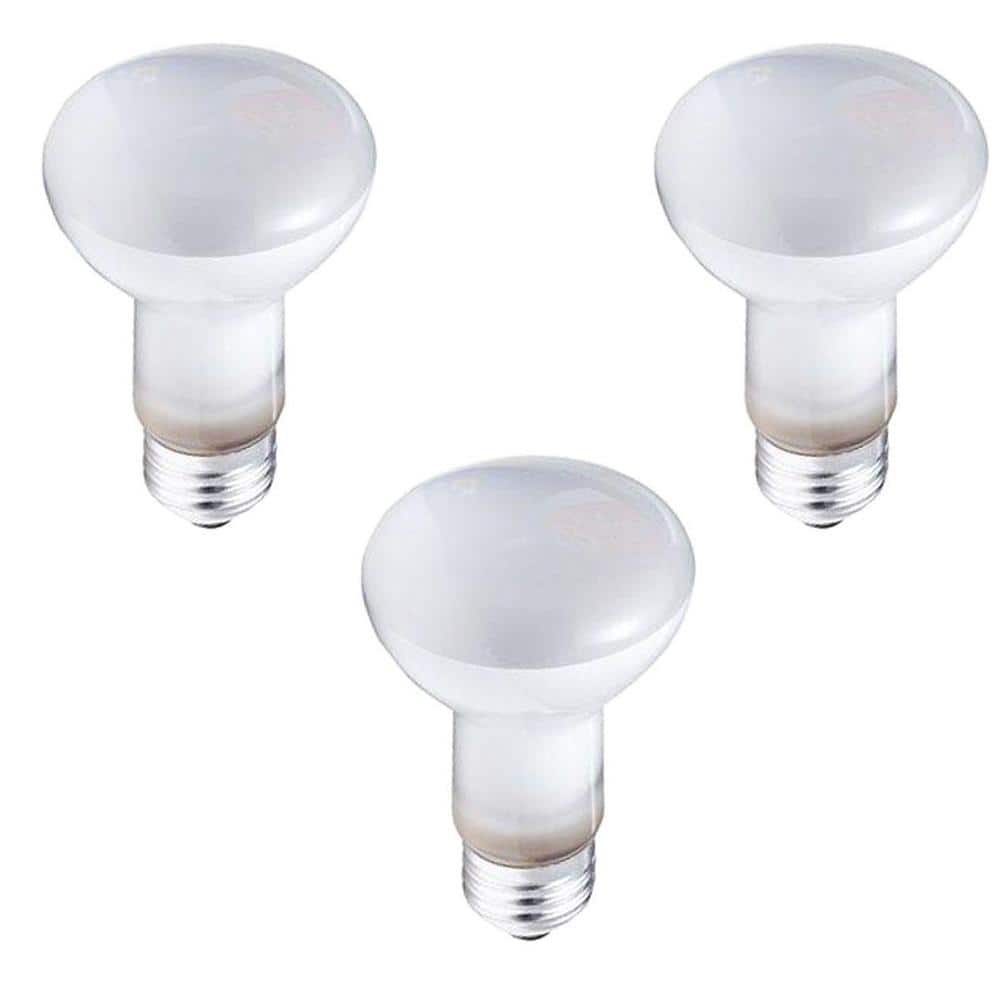 ランキングや新製品 Philips 45-Watt R20 Incandescent DuraMax Dimmable Flood ウィッグ・エクステ