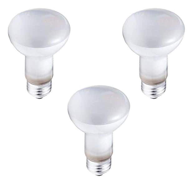 Philips 45-Watt R20 Incandescent DuraMax Dimmable Flood Light Bulb (3-Pack)
