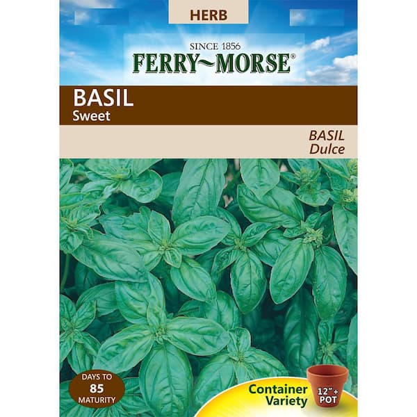 Ferry-Morse Basil Sweet Seed