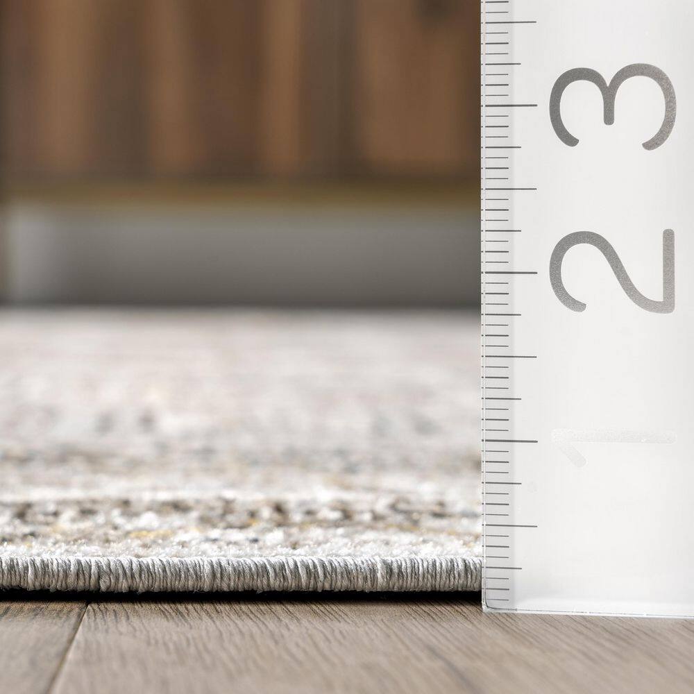 Gray and Beige 5' x 7' Traditional Washable Area Rug