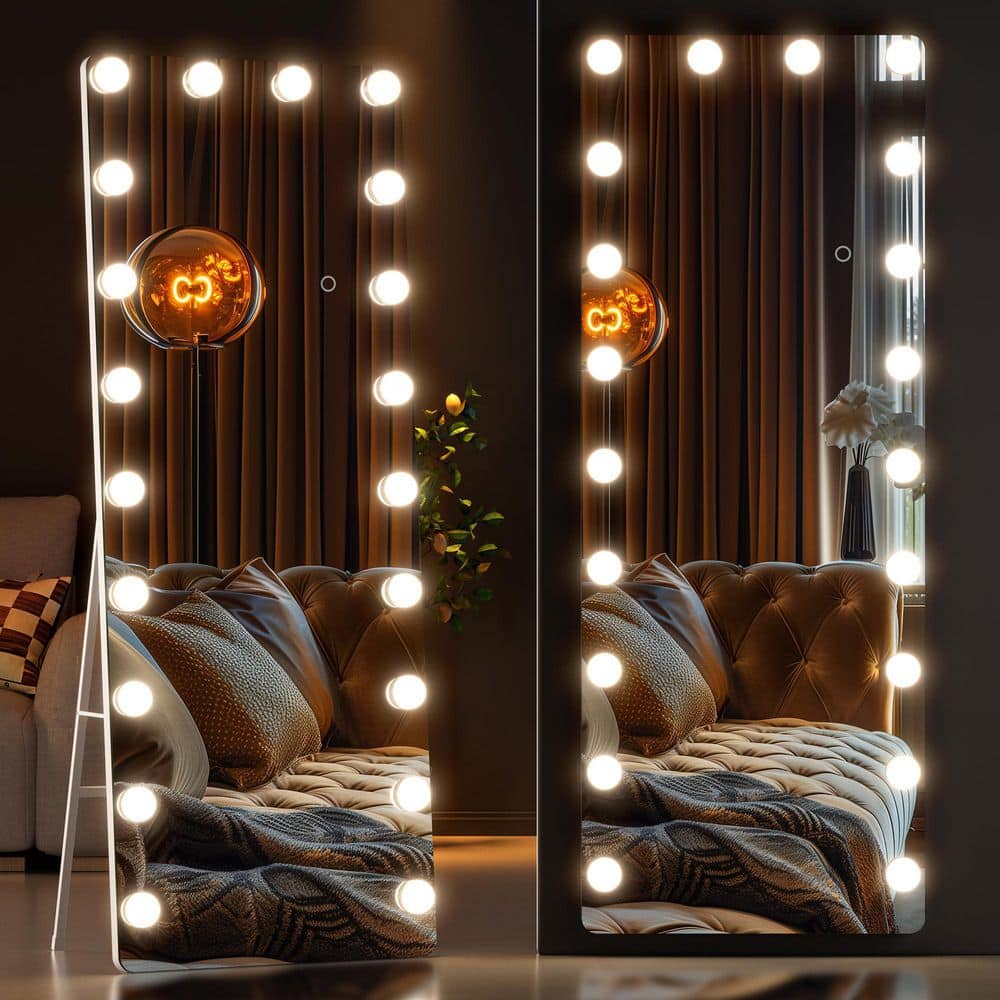Clear 20 in. W x 63 in. H Rectangular Glass Full Length Mirror with Lights 