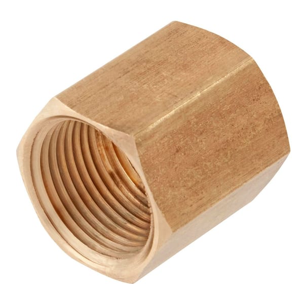 3/4 in. FIP Brass Coupling Fitting