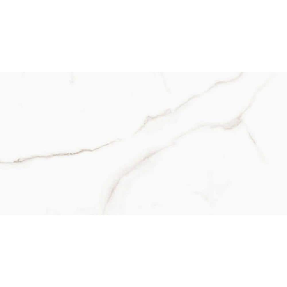 Sculpture White Matte Porcelain Stone Look Tile 12" x 24"