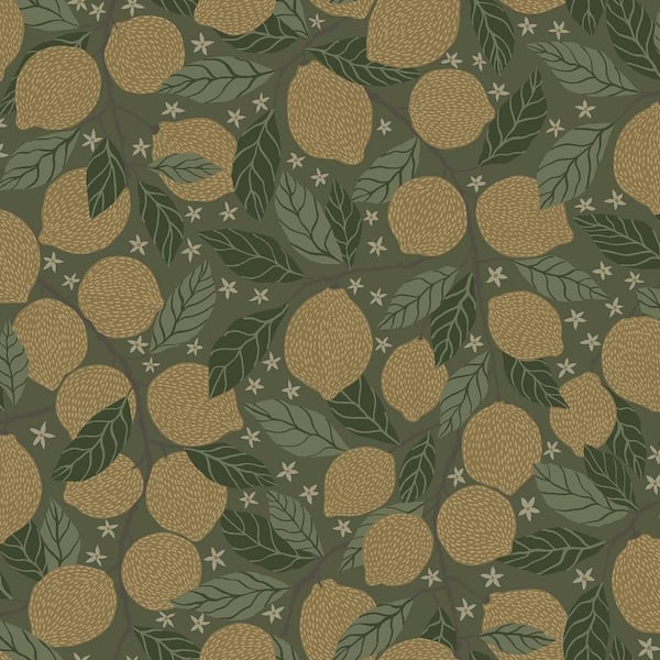 A-Street Prints Lemona Green Fruit Tree Non Woven Paper Wallpaper Sample