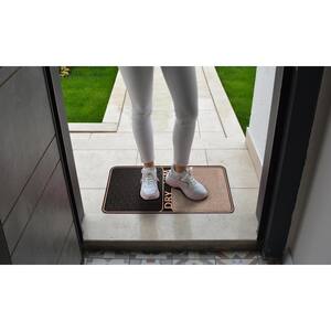 Wet & Dry Shoe Cleaning 18 in. x 32 in. Bronze Rectangular Door Mat