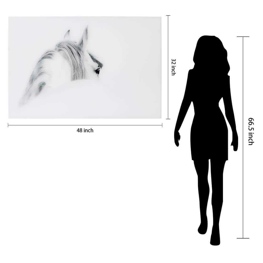 Blanco Mare Horse Frameless Tempered Glass Wall Art, 48" x 32"