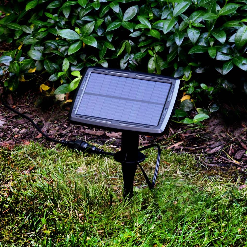 Solar Powered Multicolor LED Pathway Lights with Dusk to Dawn Sensor