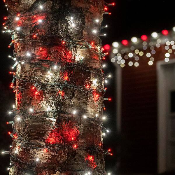 Wintergreen Lighting 24 ft. 70-Light Red and Cool White 5 mm
