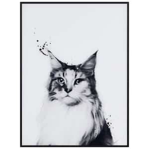 24 in. x 18 in. Siberian Cat Black and White Pet Framed with Black Anodized Aluminum on Reverse Printed Art Glass