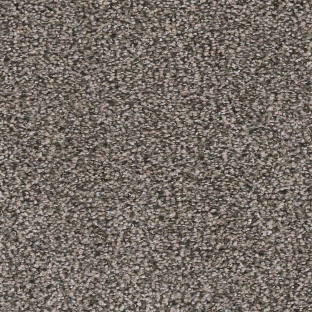8 in. x  8 in. Texture Carpet Sample - Fall Skies I -Color Spiced Latte price history on PriceWatchPro