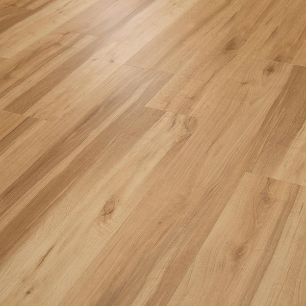 Glastonbury Grove Oak 22 MIL x 7.4 in. W x 59.5 in. L Waterproof Click Lock Luxury Vinyl Plank Flooring (21.5 sqft/case)