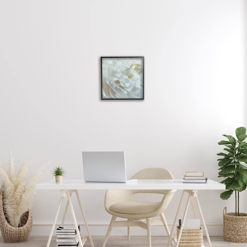 Elegant White Petals by David Pollard Black Framed Nature Giclee Art Print 17 in. x 17 in. price history on PriceWatchPro