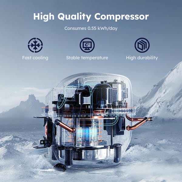 SIMZLIFE 11 in. Single Zone 6-Wine Bottles and 24-Cans Beverage