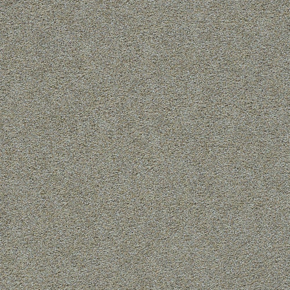 8 in. x 8 in. Texture Carpet Sample-Cinderella Soft I-Color Snug price history on PriceWatchPro