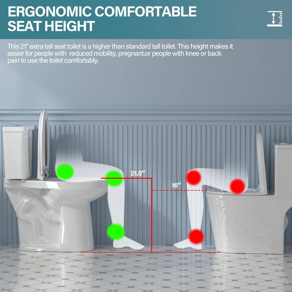 Aguamaph 20 in. White Elongated Two-Piece Toilet with Seat