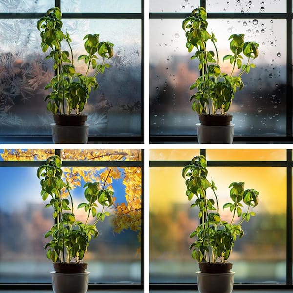 9-Watt A19 Medium E26 Base LED Non-Dimmable Indoor and Greenhouse Full Spectrum Plant Grow Light Bulb(4-Pack)