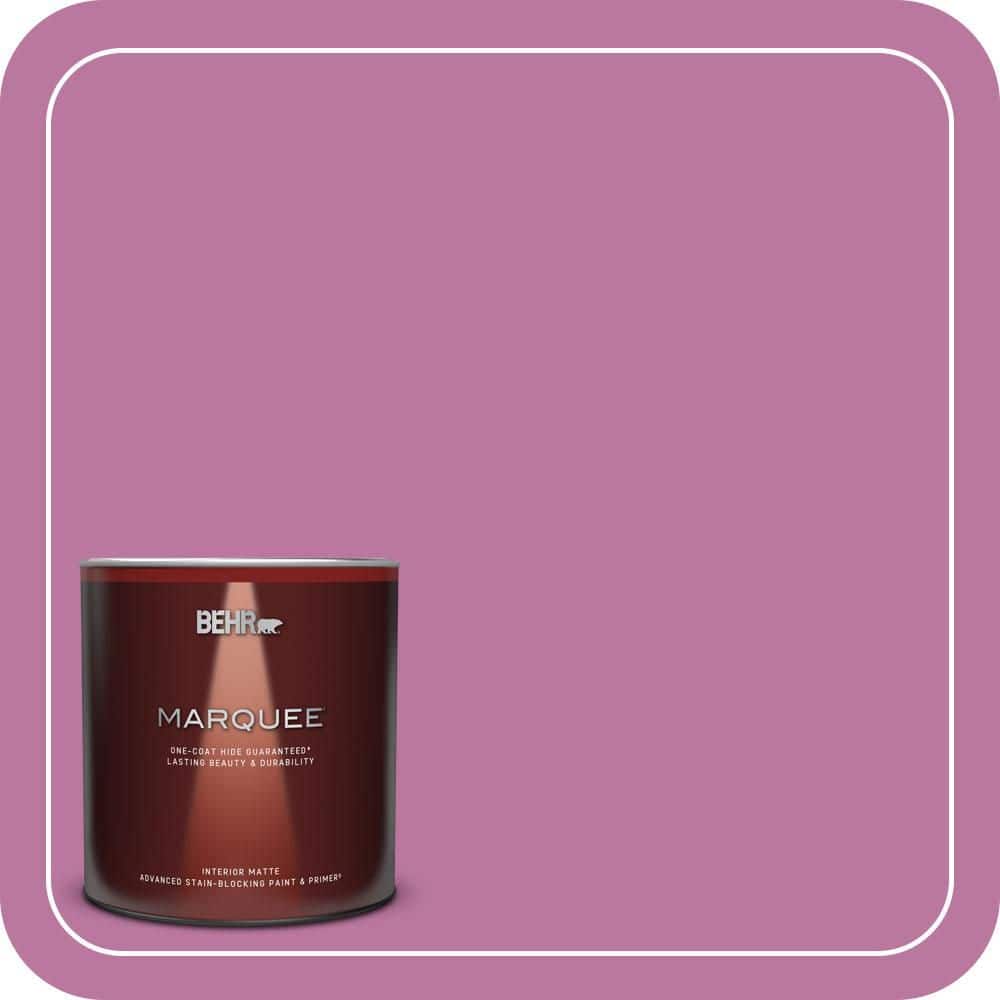 1 qt. #690B-5 Valentine Heart Matte Interior Paint & Primer price history on PriceWatchPro