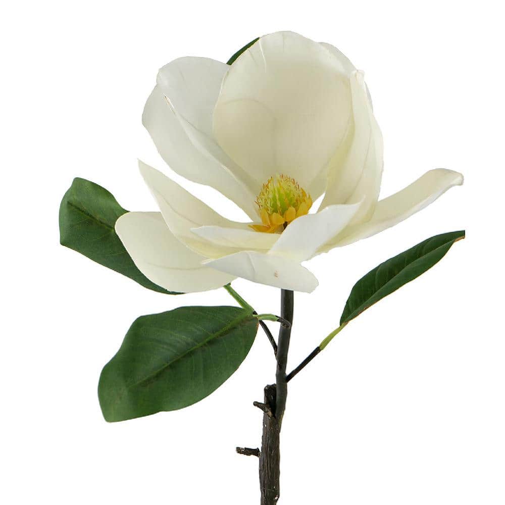 White Plastic Magnolia Stems Set of 6