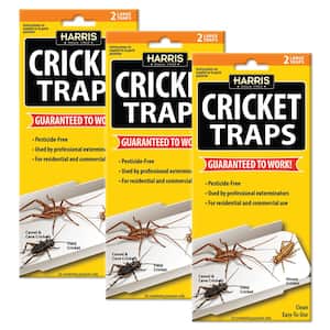 Cricket Glue Traps (6-Pack)