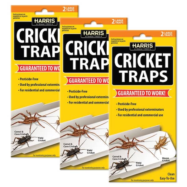 Harris Cricket Glue Traps (6-Pack)