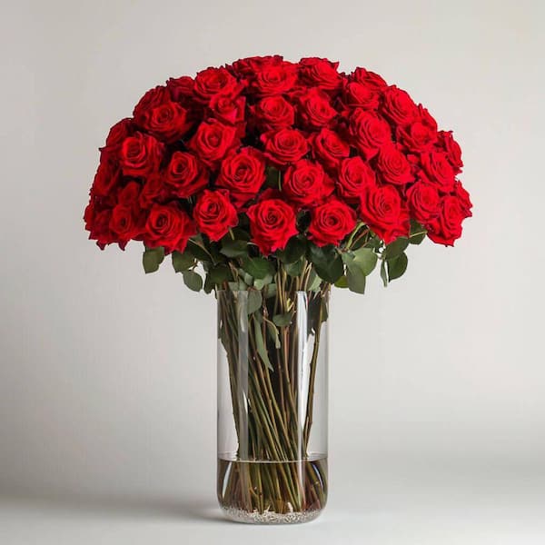 Globalrose Fresh Valentine's Day Red Roses (75 Extra Long Stems) 75-red ...