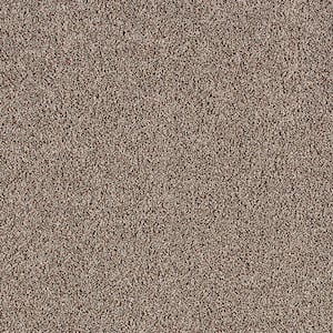 Gorrono Ranch I  - Bare Necessities - Brown 30 oz. Triexta Texture Installed Carpet