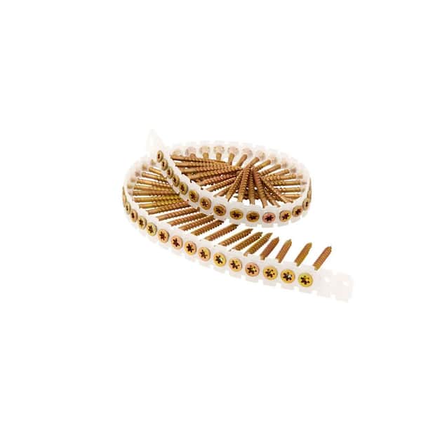 Senco #8 x 2 in. Screw Rex drive Yellow Zinc Flat Head Point T17