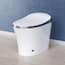 HOROW Tankless Elongated Smart Toilet Bidet in White with Auto Flush ...