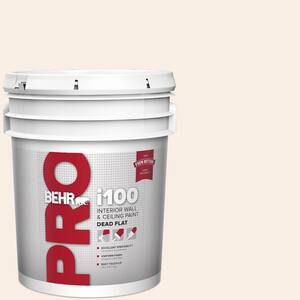 5 gal. #250C-1 Bermuda Shell Dead Flat Interior Paint