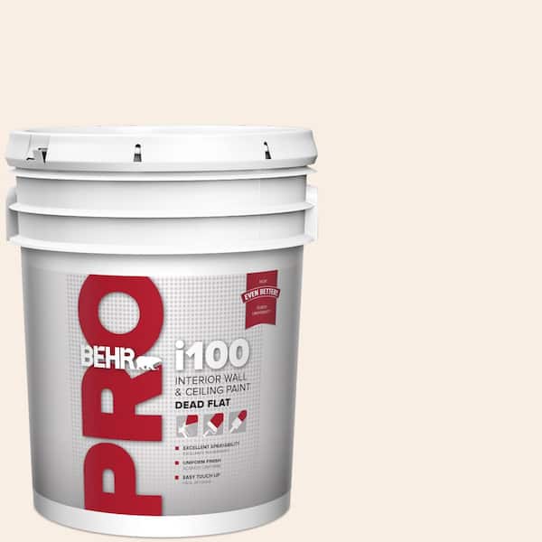 5 gal. #250C-1 Bermuda Shell Dead Flat Interior Paint
