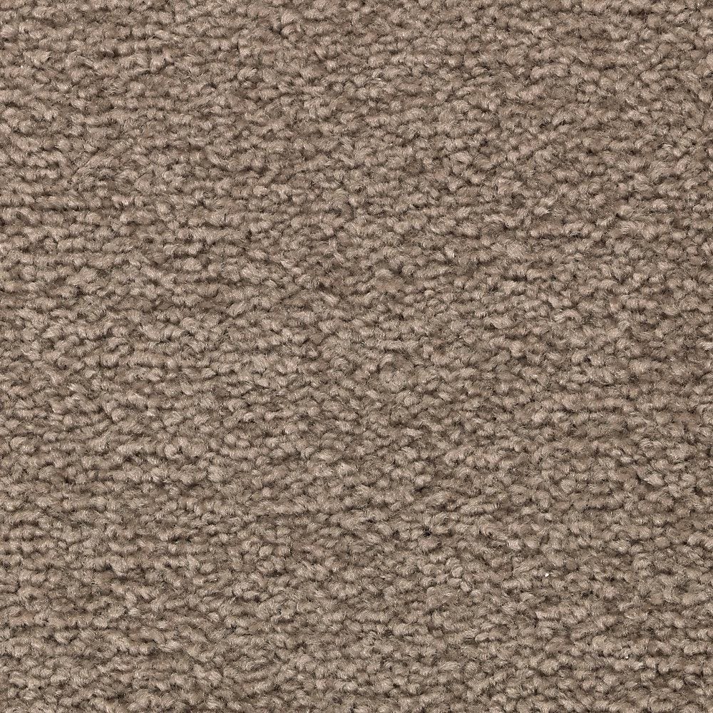 8 in. x 8 in. Texture Carpet Sample - Unblemished I -Color Creekside price history on PriceWatchPro
