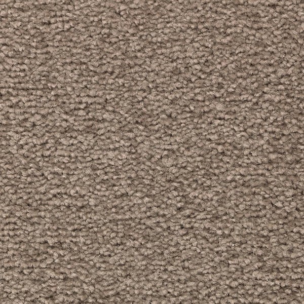 Lifeproof Unblemished I  - Creekside - Brown 45 oz. Triexta Texture Installed Carpet