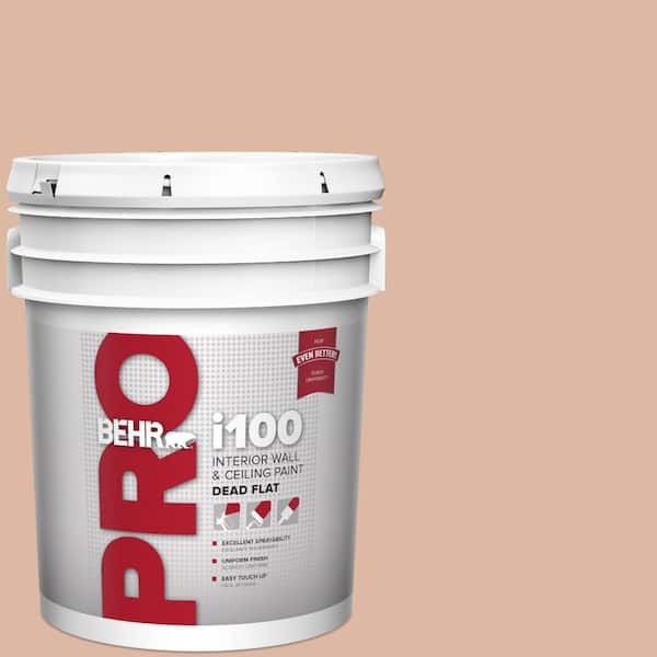BEHR PRO 5 gal. #ECC-60-1 Coral Bay Dead Flat Interior Paint