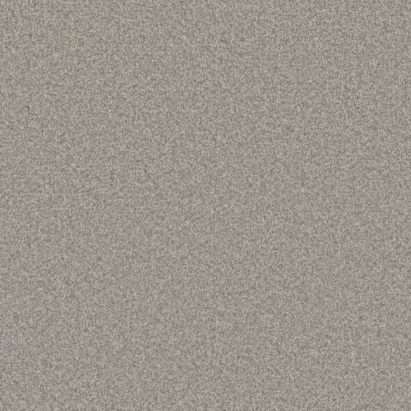 Harpstring I-Beauty Gray-60 oz. SD Polyester Texture Installed Carpet