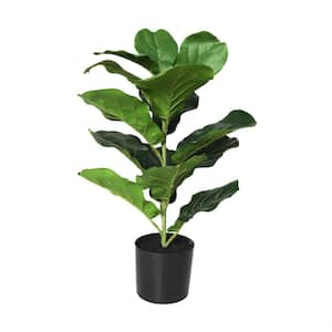 21 in. H Fiddle Leaf Artificial Plant with Black Pot