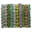https://images.thdstatic.com/productImages/770764b1-fa9f-4d61-80b7-7927e0d56167/svn/shop-succulents-succulent-plants-r140-64_65.jpg